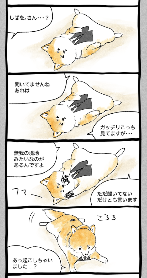 スクリーンショット 2019-05-20 19.04.31