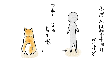 弱ってなくても4