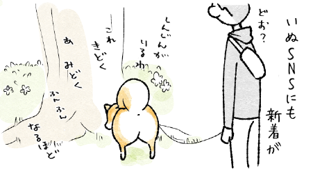 春が来た3