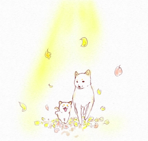 スクリーンショット 2019-04-04 17.53.22