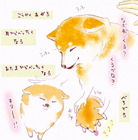 スクリーンショット 2019-04-04 17.04.48