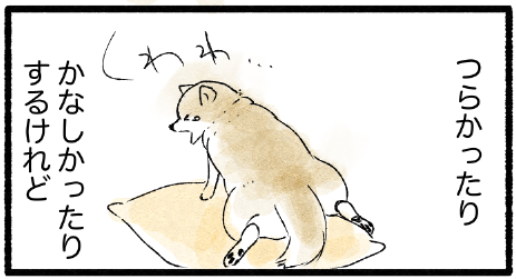 スクリーンショット 2019-11-11 22.01.36