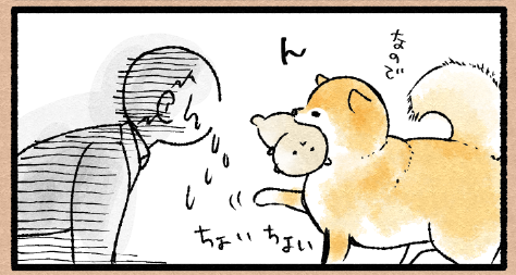 スクリーンショット 2019-12-06 4.37.36