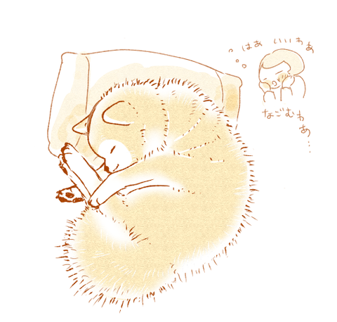 ぼくとおかさん２５5