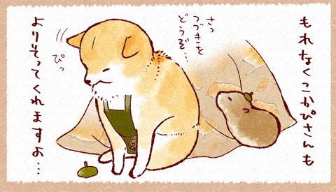 スクリーンショット 2019-11-16 17.54.29