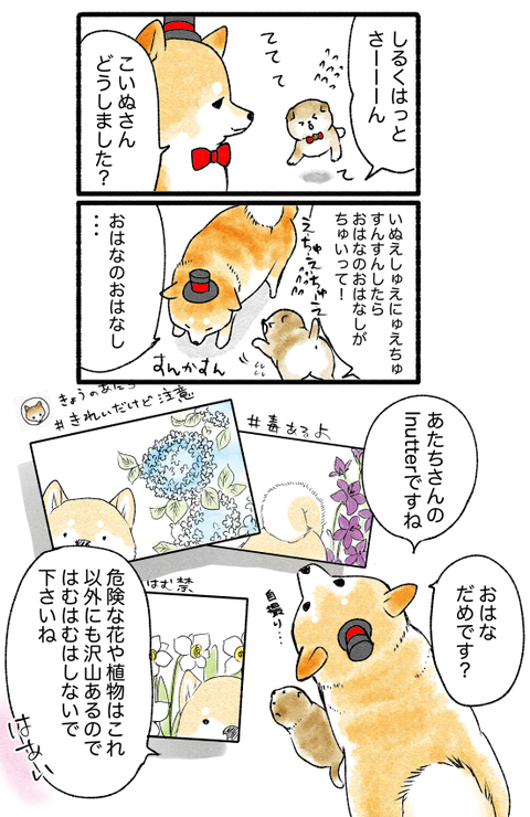 スクリーンショット 2019-05-28 17.01.33