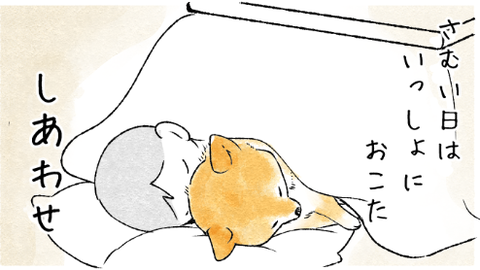 ４