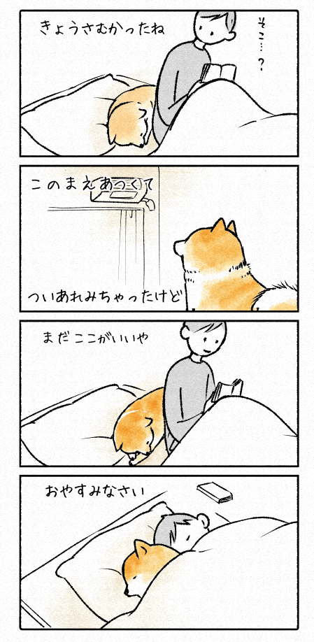 スクリーンショット 2019-04-05 13.22.11
