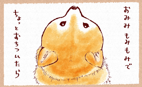 スクリーンショット 2019-11-16 20.18.13