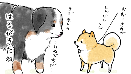 春が来た４