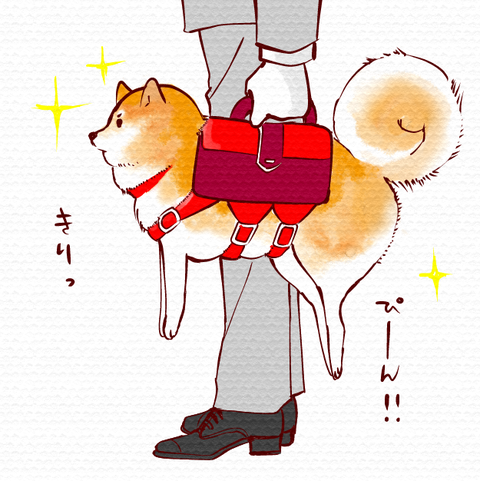 スクリーンショット 2018-11-15 16.17.25