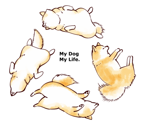 スクリーンショット 2019-09-28 16.10.22