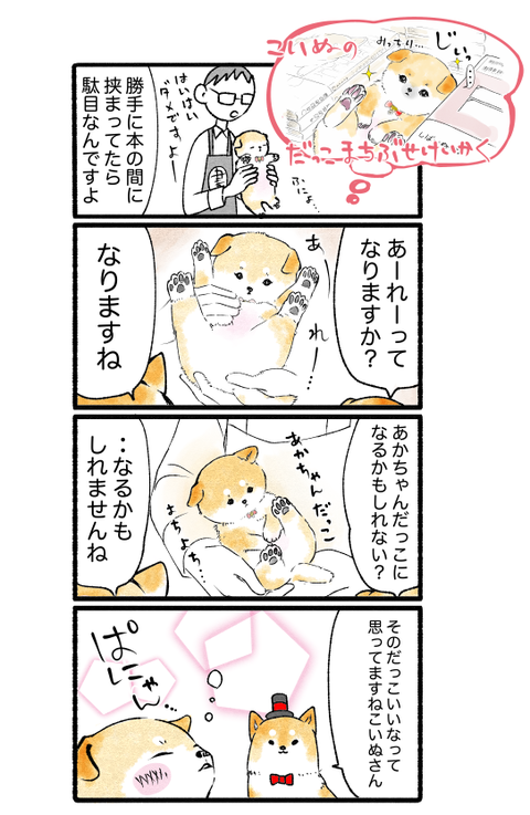 スクリーンショット 2019-07-29 11.41.26