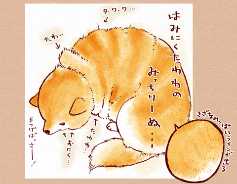 スクリーンショット 2019-11-11 18.11.11