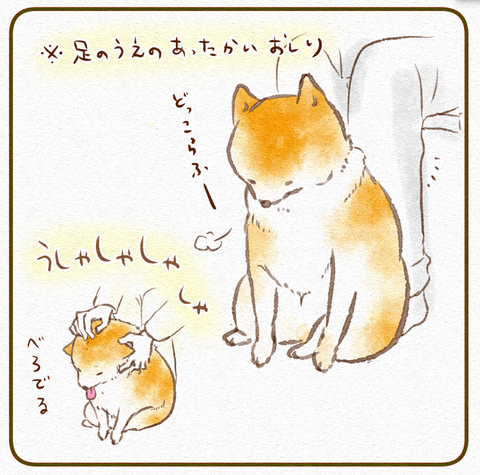 スクリーンショット 2018-12-17 17.10.09