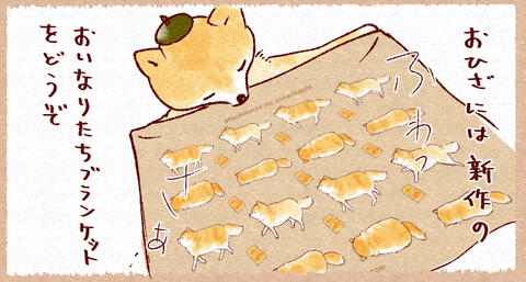 スクリーンショット 2019-11-16 14.39.10