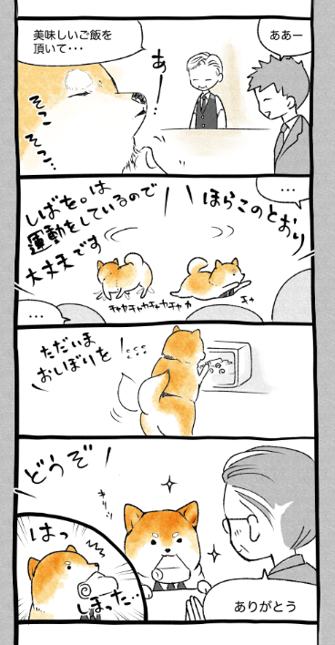 スクリーンショット 2019-05-07 18.13.16