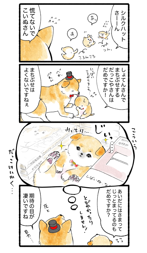 スクリーンショット 2019-07-28 21.46.29