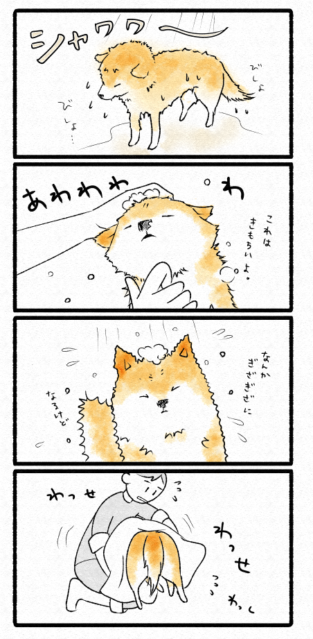 スクリーンショット 2019-04-13 18.17.17