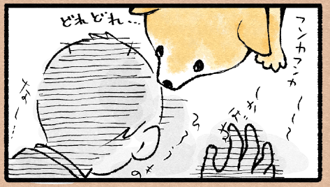 スクリーンショット 2019-12-06 4.37.17