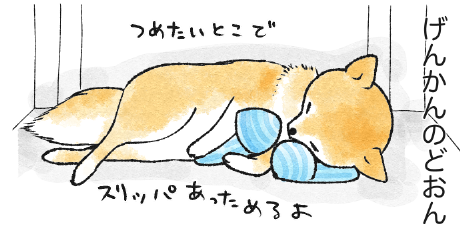 どおん8