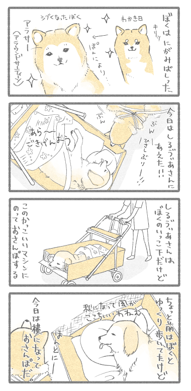 ぼく１