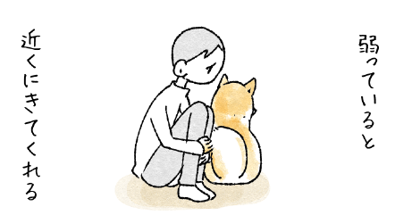 弱ってなくても2