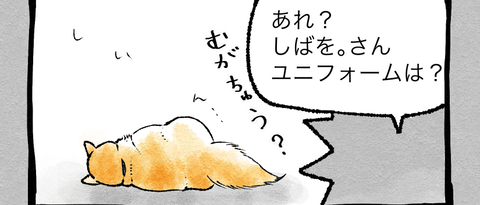 スクリーンショット 2020-01-14 20.25.19
