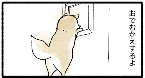 スクリーンショット 2019-11-11 22.01.24