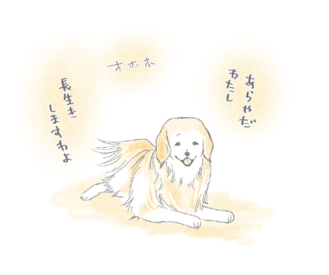 ぼくとしるびあさん3