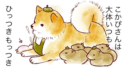 スクリーンショット 2019-12-21 17.43.10