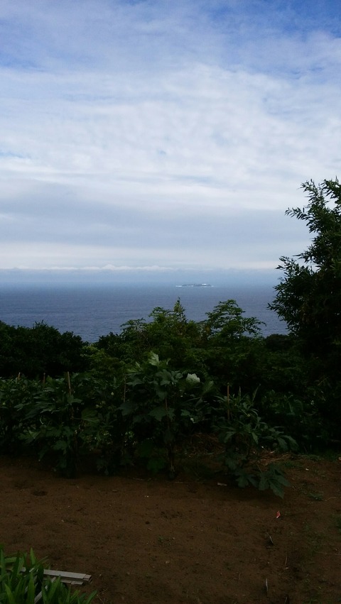 [画像:1d97f820-s.jpg]