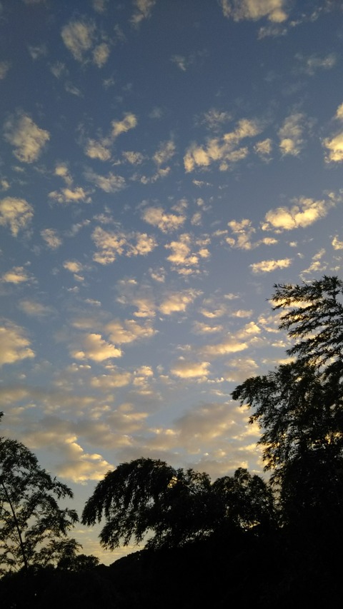 [画像:5583767f-s.jpg]