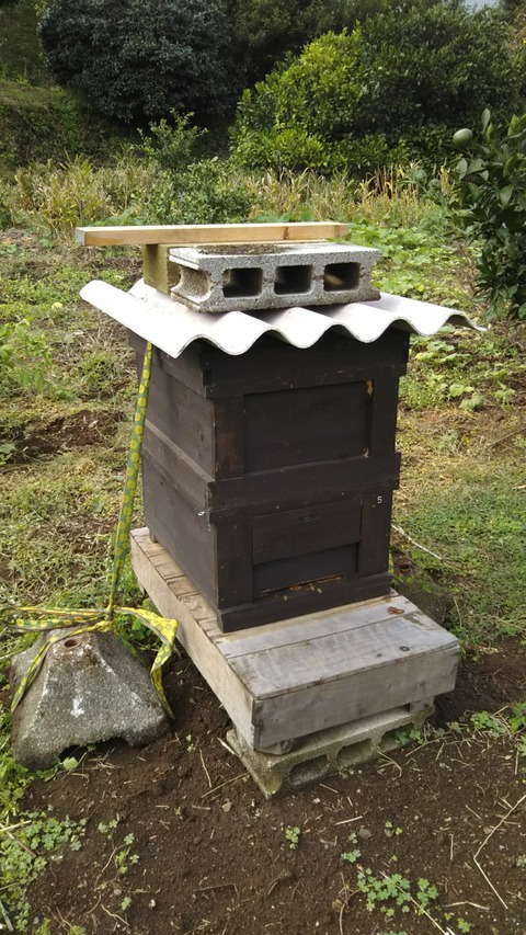 [画像:6befe019-s.jpg]