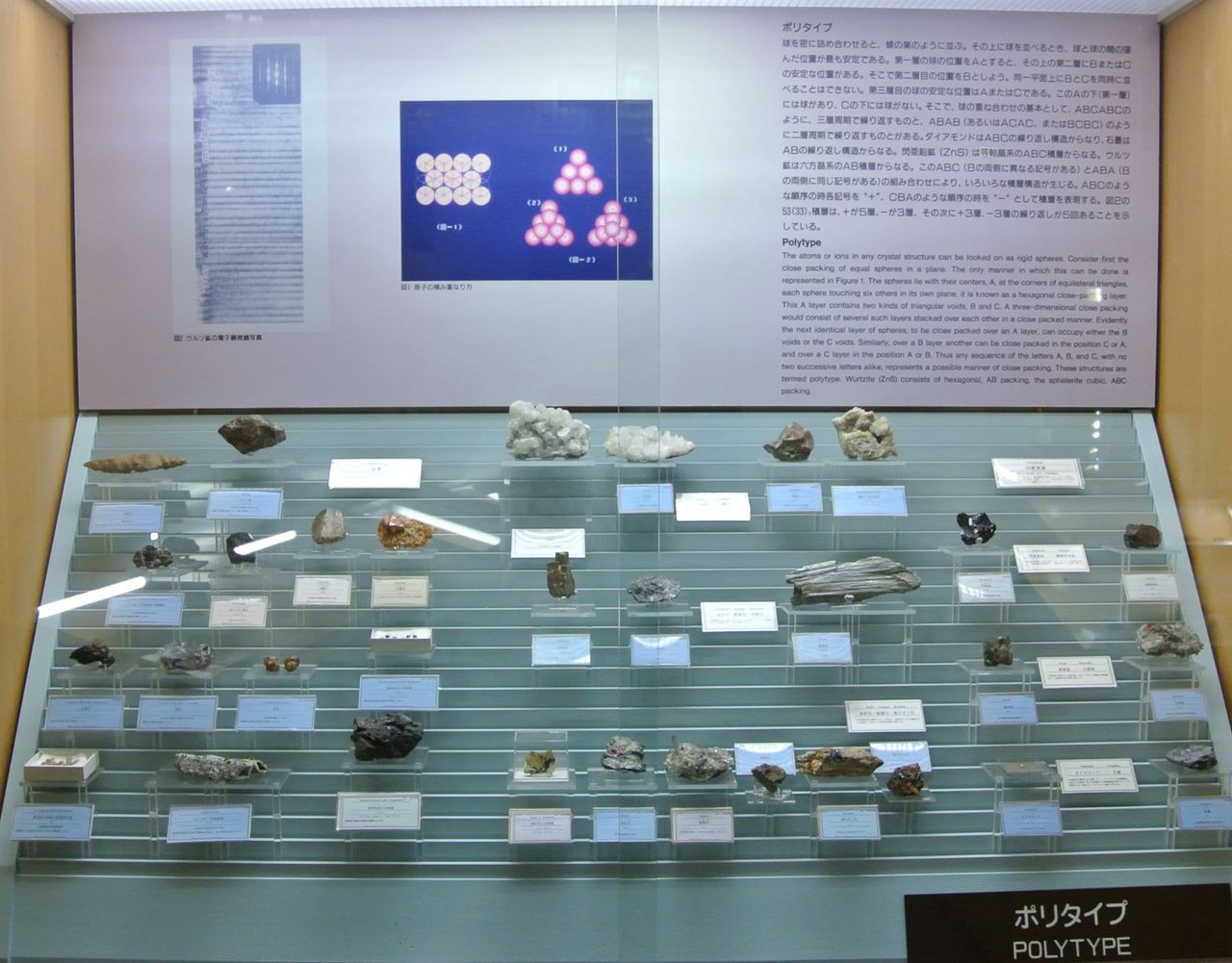 在宅学習支援 東北大学理学部自然史標本館で地球の歴史を実感できる 仙台市青葉区荒巻字青葉6 3 東北や福島の旅は楽しく美味しかった 在宅学習支援 東北大学理学部自然史標本館で地球の歴史を実感できる 仙台市青葉区荒巻字青葉6 3 東北や福島の旅は楽しく美味しかった