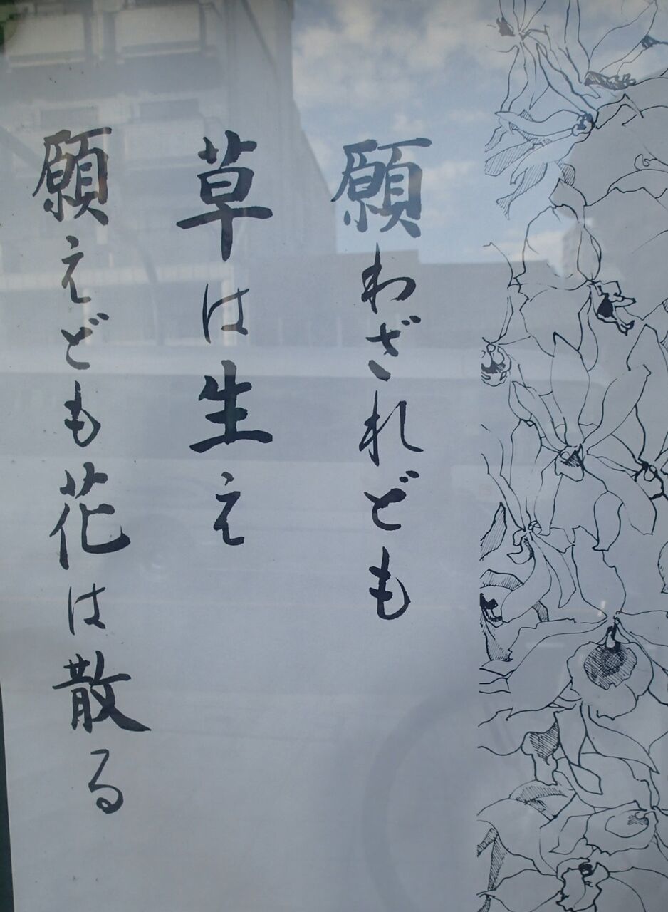 口は災いの元 熟年離婚の原因 生きる力 人の道 天寿を全う 建設 環境 防災 口は災いの元 熟年離婚の原因 生きる力 人の道 天寿を全う 建設 環境 防災
