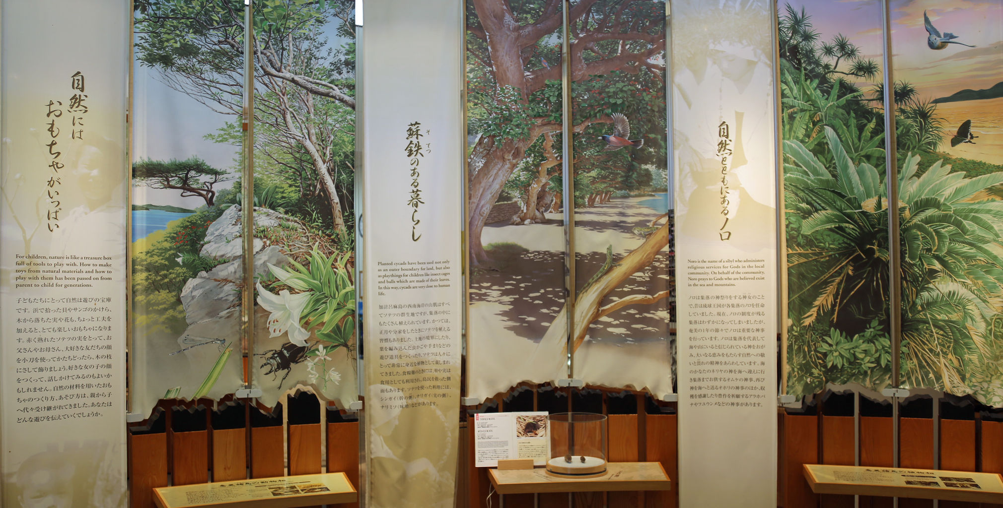 奄美大島や加計呂麻島は良かったよ 西郷さんも寅さんもいたよ その他歴史 奄美大島や加計呂麻島は良かったよ 西郷さんも寅さんもいたよ その他歴史
