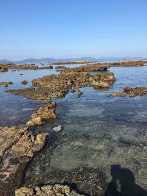 IMG_3704