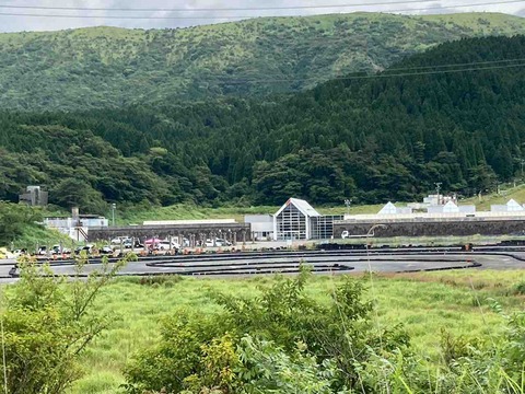 IMG_6007