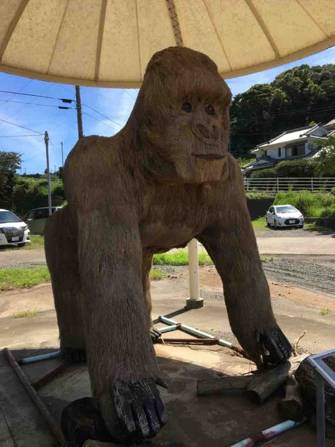 IMG_7510