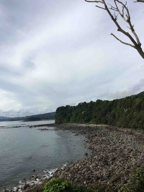 IMG_7605