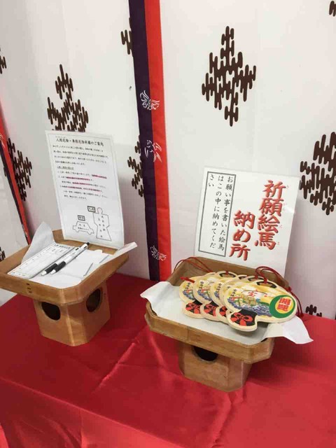 IMG_5575