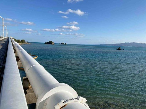 IMG_4646