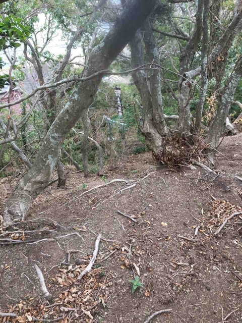 IMG_2796