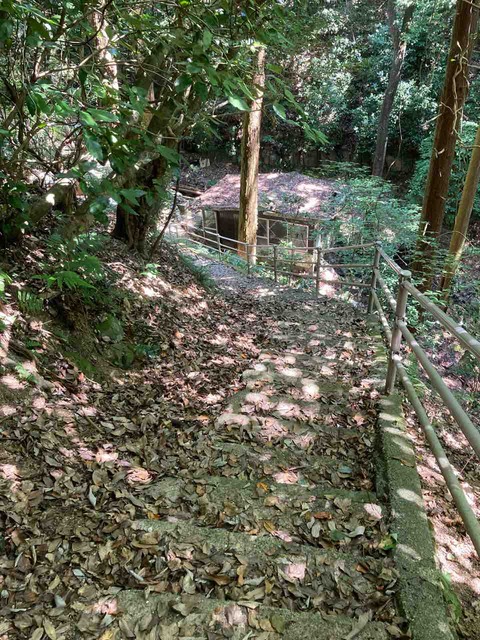 IMG_6349