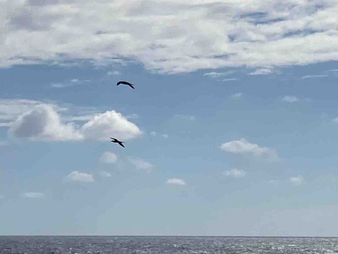 IMG_1459