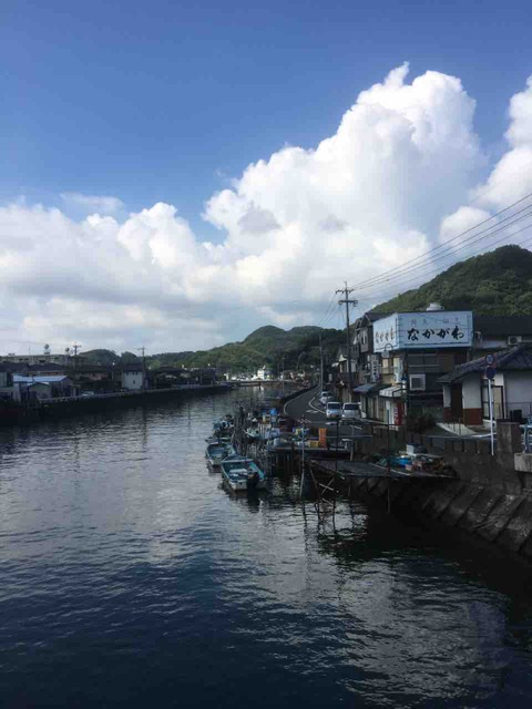 IMG_8331
