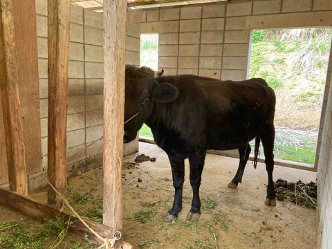 IMG_1301