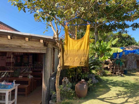 IMG_2623