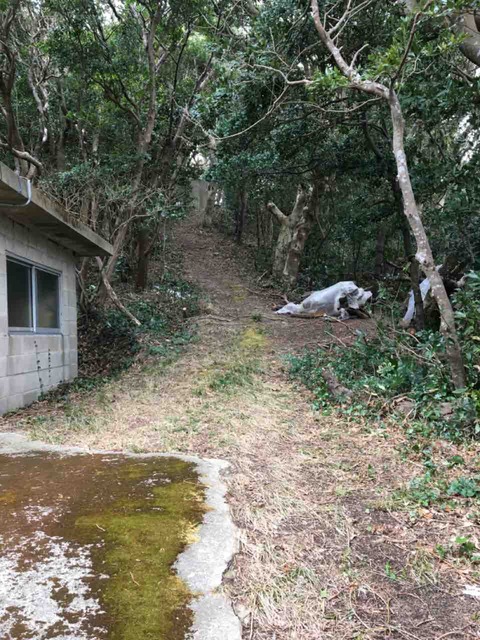 IMG_5839